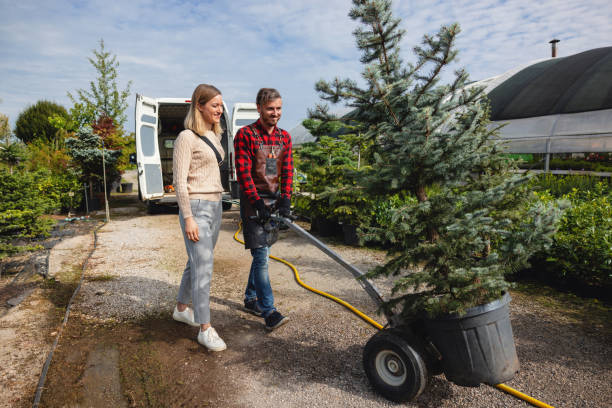 Lawn Renovation and Restoration in Lakemoor, IL
